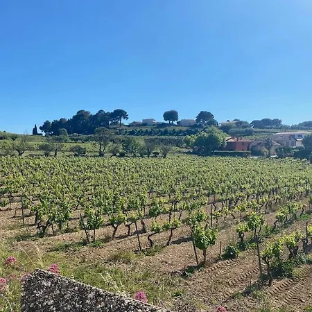 - Pool - Panoramic View