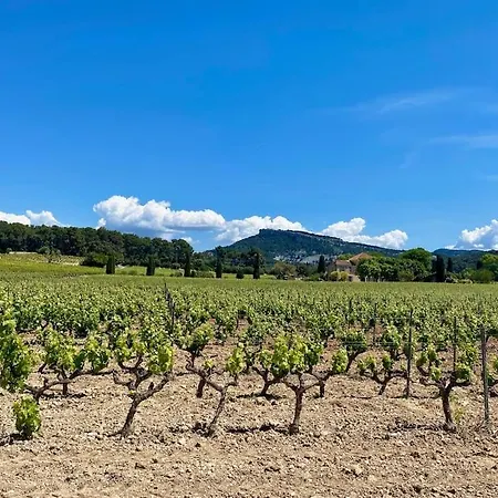 - Pool - Panoramic View